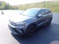 Platinum Gray Metallic - Taos SE 4Motion Photo No. 7