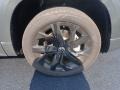 Platinum Gray Metallic - Taos SE 4Motion Photo No. 11