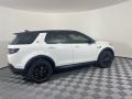 Fuji White - Discovery Sport S Photo No. 10