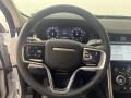 Light Oyster Steering Wheel Photo for 2023 Land Rover Discovery Sport #144881255