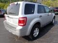 2011 Ingot Silver Metallic Ford Escape XLT 4WD  photo #7