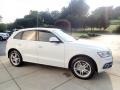 Ibis White - Q5 3.0 TDI Premium Plus quattro Photo No. 7