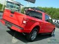 2019 Race Red Ford F150 XLT SuperCrew 4x4  photo #32