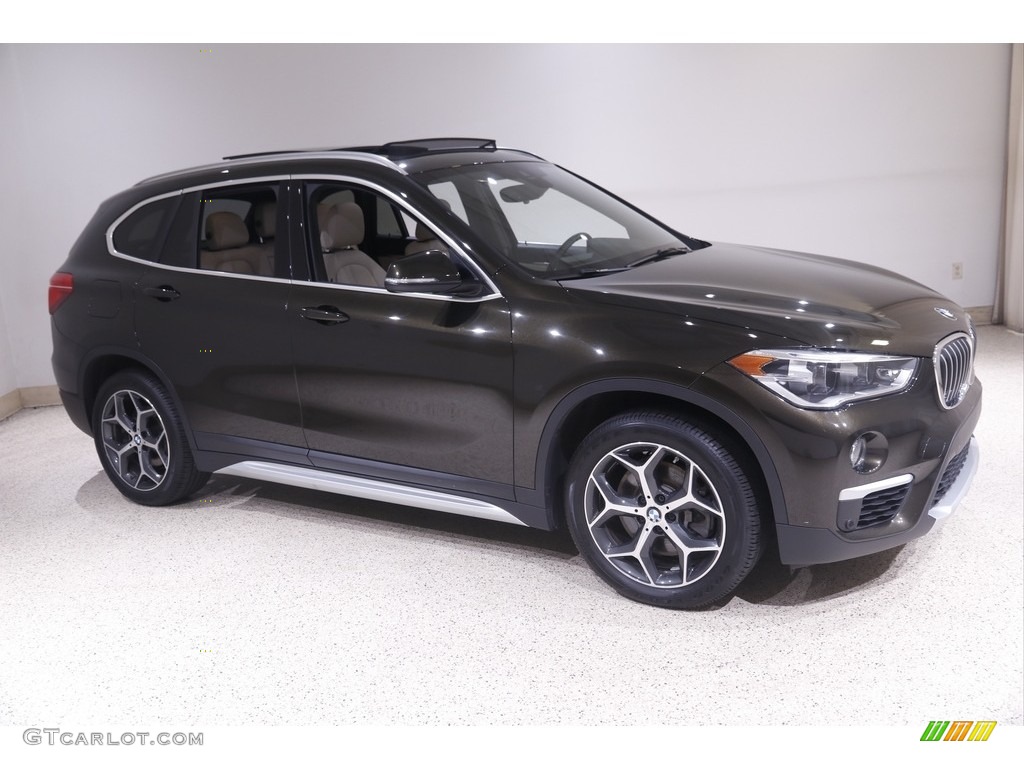 2019 X1 xDrive28i - Dark Olive Metallic / Oyster/Black photo #1