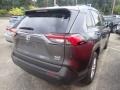 Magnetic Gray Metallic - RAV4 XLE Photo No. 4