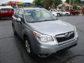 Ice Silver Metallic - Forester 2.5i Premium Photo No. 5