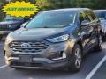 2019 Magnetic Ford Edge SEL AWD #144905134