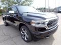 2022 Diamond Black Crystal Pearl Ram 1500 Limited Crew Cab 4x4  photo #7