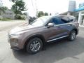 2019 Earthy Bronze Hyundai Santa Fe SE AWD #144905140