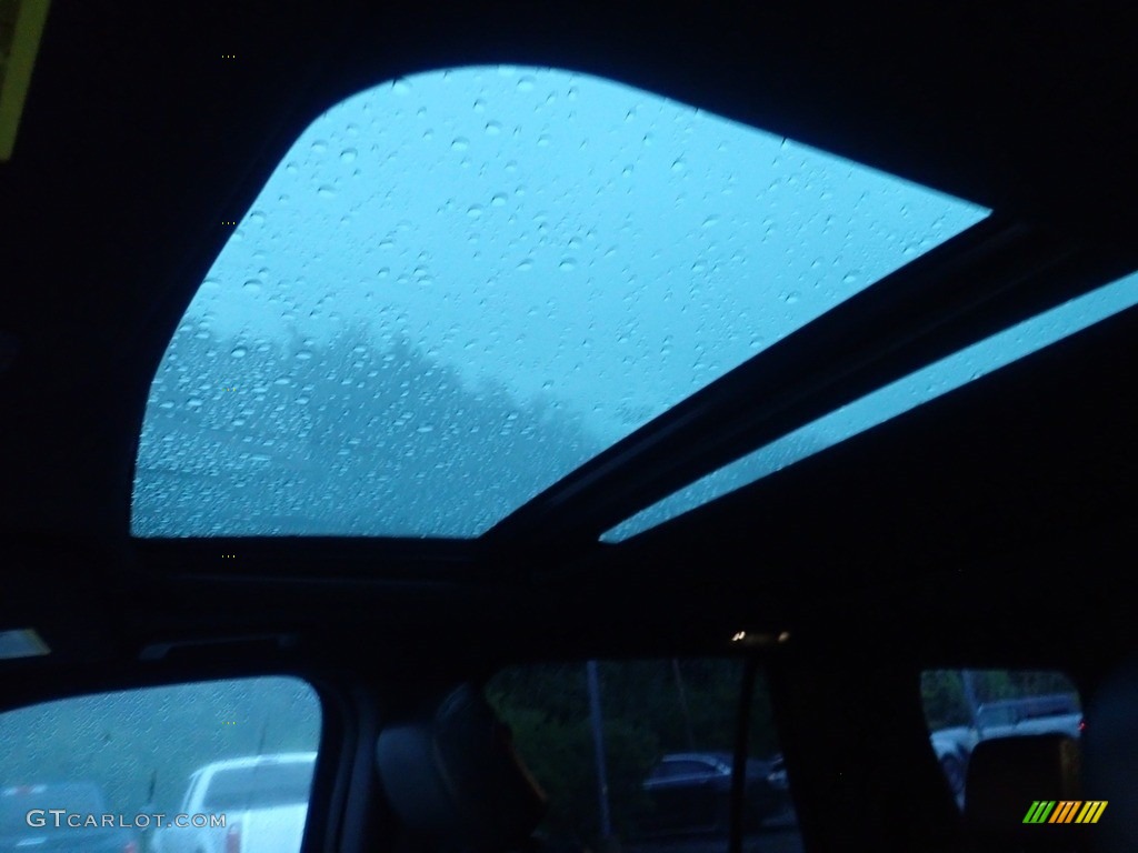 2018 Expedition Limited 4x4 - Blue / Ebony photo #24