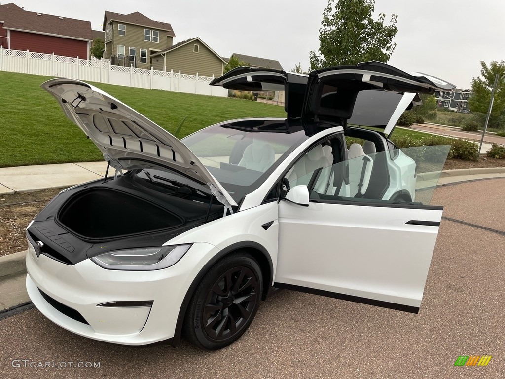 2022 Tesla Model X AWD Trunk Photo #144925152