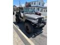 Pewter Gray Metallic 1977 Jeep CJ7 4x4 Exterior