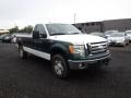 Oxford White - F150 XL Regular Cab 4x4 Photo No. 3