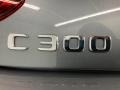 Selenite Grey Metallic - C 300 Coupe Photo No. 11