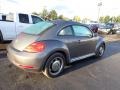 Platinum Gray Metallic - Beetle 2.5L Photo No. 4