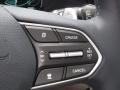 Beige Steering Wheel Photo for 2021 Hyundai Palisade #144943410