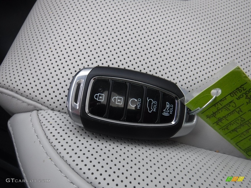 2021 Hyundai Palisade Calligraphy AWD Keys Photo #144943605