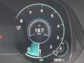 2021 Hyundai Palisade Calligraphy AWD Gauges
