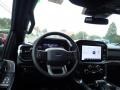Agate Black Metallic - F150 Sherrod XLT SuperCrew 4x4 Photo No. 13