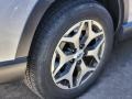 Ice Silver Metallic - Forester 2.5i Premium Photo No. 4