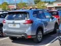 Ice Silver Metallic - Forester 2.5i Premium Photo No. 5