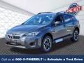 Magnetite Gray Metallic 2023 Subaru Crosstrek 