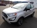 Moondust Silver Metallic - EcoSport S 4WD Photo No. 4