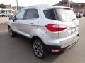 Moondust Silver Metallic - EcoSport Titanium 4WD Photo No. 6