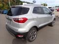 Moondust Silver Metallic - EcoSport Titanium 4WD Photo No. 8