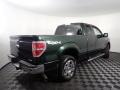 2012 Green Gem Metallic Ford F150 XLT SuperCab 4x4  photo #7