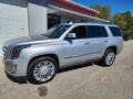 Radiant Silver Metallic - Escalade Platinum 4WD Photo No. 3