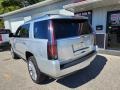 Radiant Silver Metallic - Escalade Platinum 4WD Photo No. 4