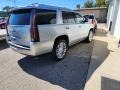 Radiant Silver Metallic - Escalade Platinum 4WD Photo No. 6