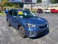Horizon Blue Pearl - Forester 2.5i Limited Photo No. 8
