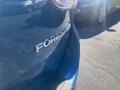 Horizon Blue Pearl - Forester 2.5i Limited Photo No. 42