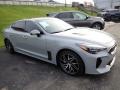 Ceramic Silver - Stinger GT-Line Photo No. 4