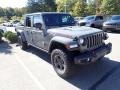 Sting-Gray - Gladiator Rubicon 4x4 Photo No. 3