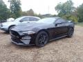 Shadow Black - Mustang GT Fastback Photo No. 6