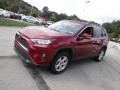 Ruby Flare Pearl - RAV4 XLE AWD Photo No. 11