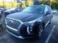 2020 Moonlight Cloud Hyundai Palisade SEL AWD  photo #1