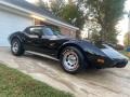 1979 Black Chevrolet Corvette Coupe  photo #1