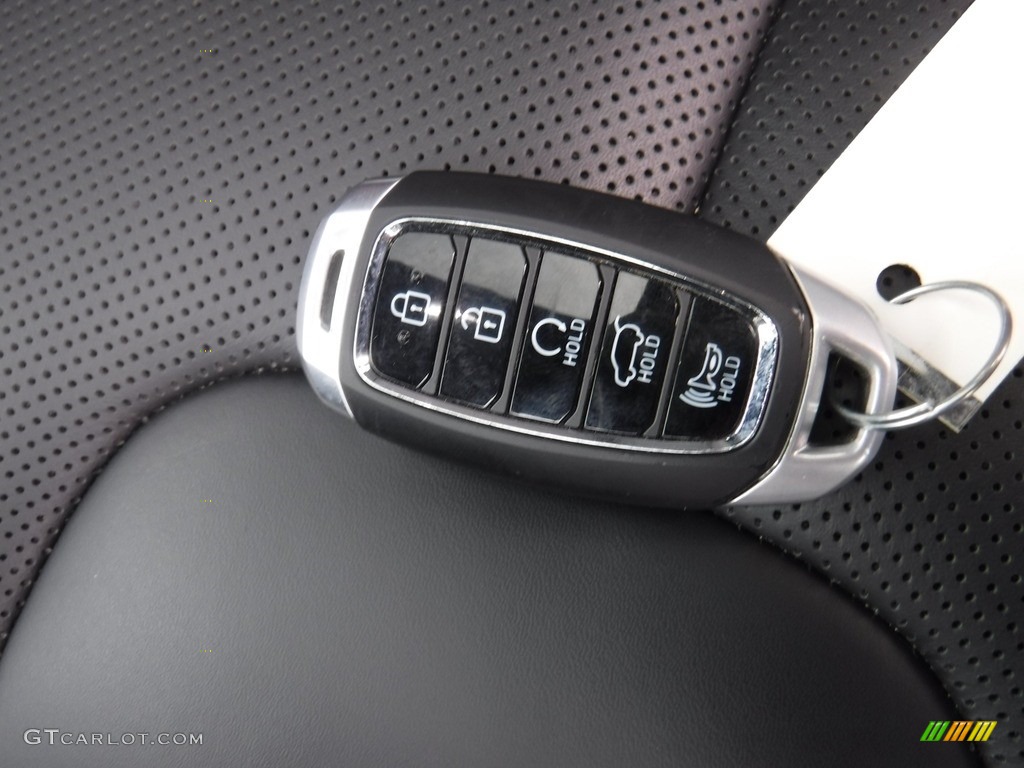 2021 Hyundai Palisade Calligraphy AWD Keys Photos