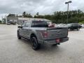 Carbonized Gray Metallic - F150 XL SuperCrew 4x4 Photo No. 7