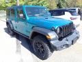 Bikini Pearl - Wrangler Unlimited Willys 4x4 Photo No. 3