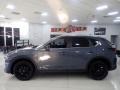 Polymetal Gray - CX-5 S Carbon Edition AWD Photo No. 6