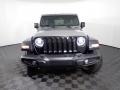 Sting-Gray - Wrangler Unlimited Willys 4x4 Photo No. 5