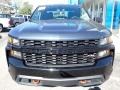 2020 Shadow Gray Metallic Chevrolet Silverado 1500 Custom Trail Boss Crew Cab 4x4  photo #8