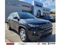 Diamond Black Crystal Pearl - Compass Latitude 4x4 Photo No. 1