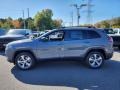 Sting-Gray - Cherokee Limited 4x4 Photo No. 3
