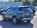 Sting-Gray - Cherokee Limited 4x4 Photo No. 4